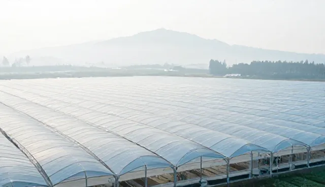 网络推广性能优化与适用场景分析